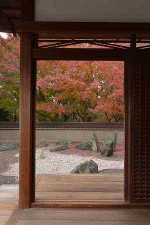 東福寺_秋の龍吟庵