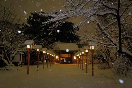 雪桜と灯籠