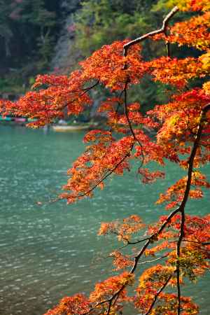 嵐山の紅葉