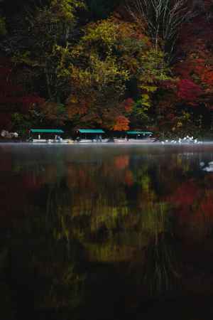 嵐山の朝霧