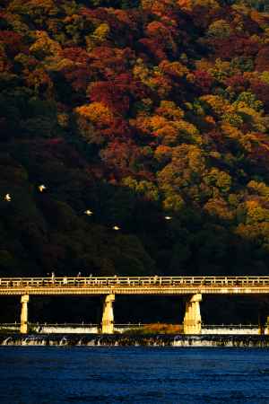 嵐山の紅葉3
