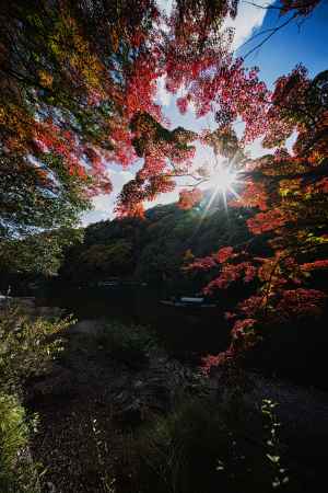 嵐山の紅葉