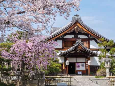 春の妙顕寺