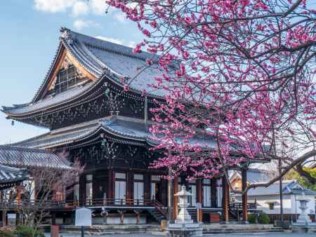 梅の花咲く興正寺