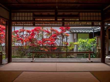 霧島つつじ咲く大雄院➁