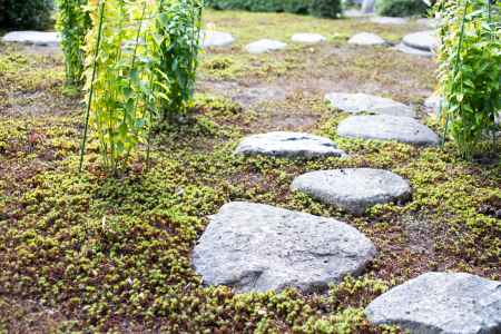 旧三井家下鴨別邸　主屋　庭園の飛び石