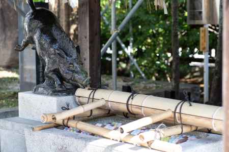 護王神社　霊猪手水舎