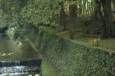 西芳寺の近くを流れる川