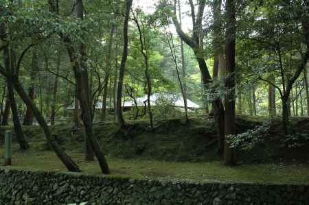 苔の覆った木々の奥にみえる西芳寺