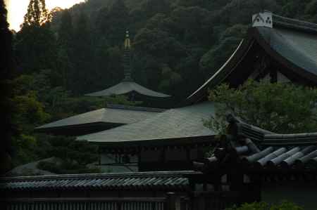 夕方の西芳寺