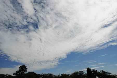 いろんな雲が浮かぶ空