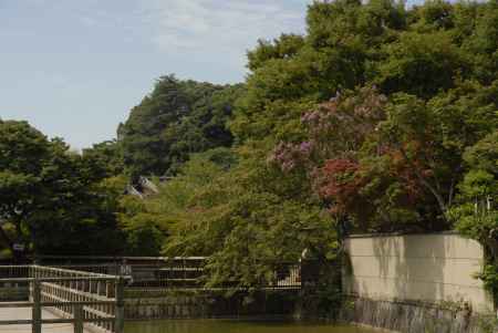 長岡天満宮　八条が池水上橋から