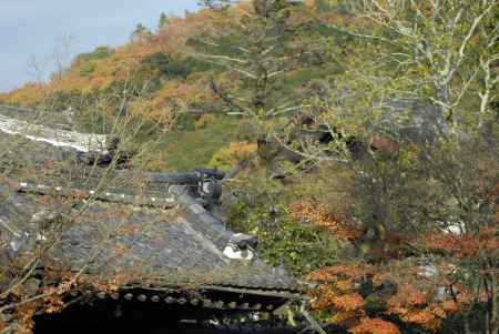 山もお寺も秋の色