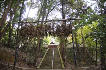 走田神社　勧請縄