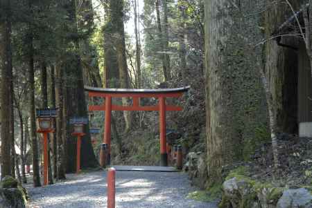 赤い鳥居と赤い灯篭