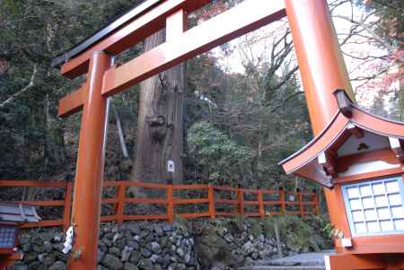 貴船神社　赤い鳥居