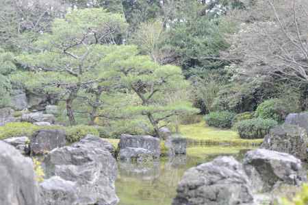 城南宮　庭1