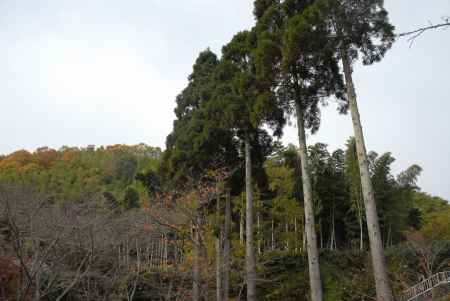 長法寺付近の風景