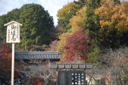 光明寺の総門付近の紅葉