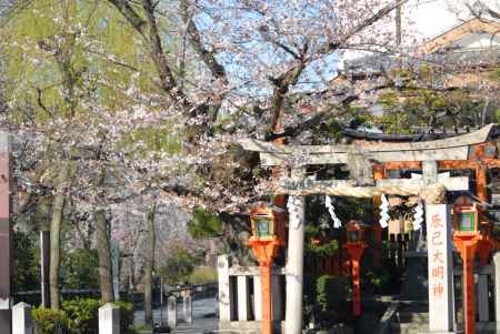 春の辰巳大明神