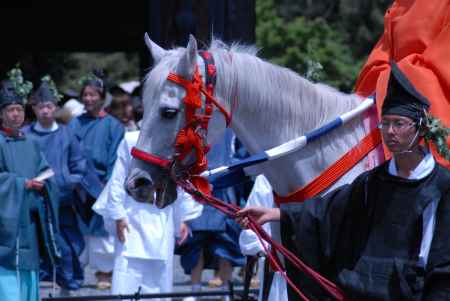 葵祭　舞人が乗る馬