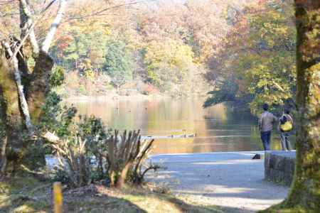 紅葉宝が池公園1