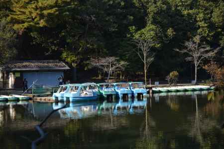 宝が池公園１４