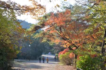 宝が池公園１６