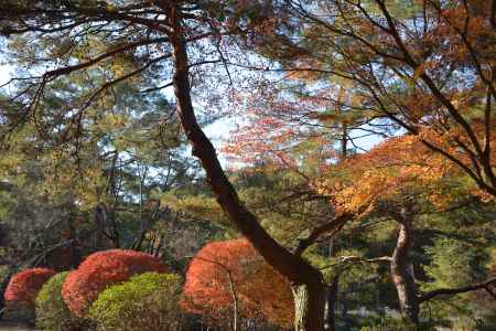 宝が池公園１７