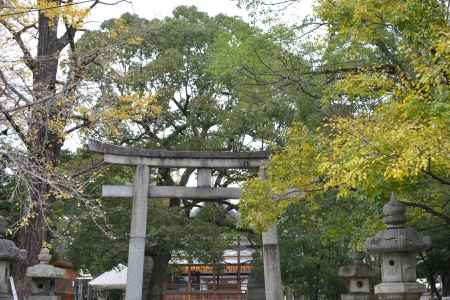 藤森神社 鳥居と色づく木の葉