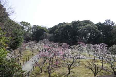 梅林公園４