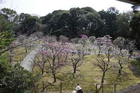 梅林公園５