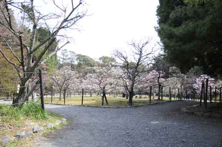 梅林公園６