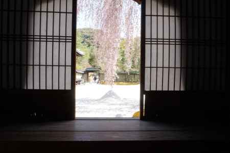 高台寺　障子からのぞく枝垂れ桜