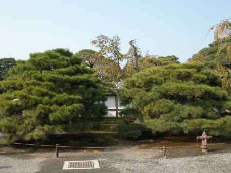 京都御所の庭2