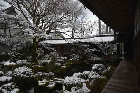 雪に包まれる庭園