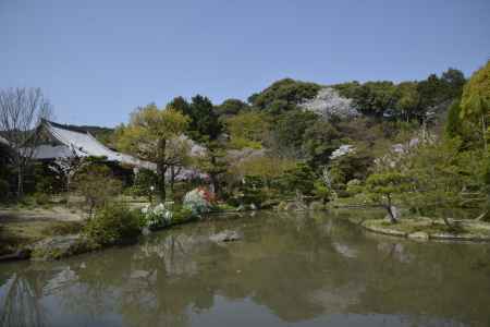 浄土式庭園の水面に映る