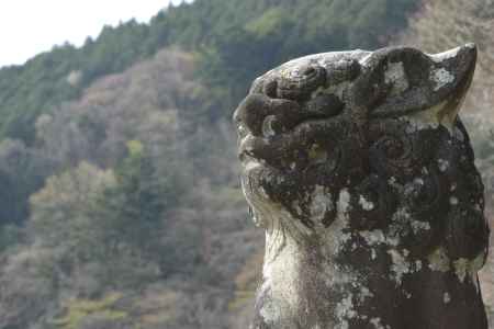 善峯寺　天空を見上げる