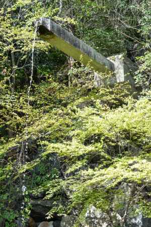 水流るる青蓮の滝