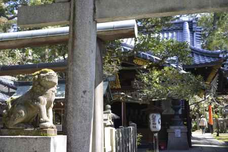 白雲神社　狛犬