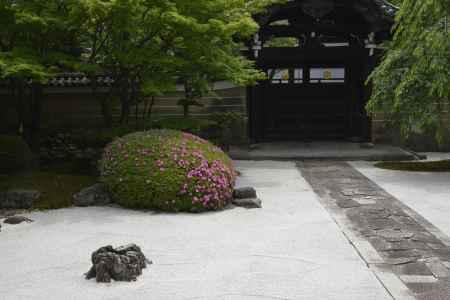 妙顕寺　枯山水の庭園