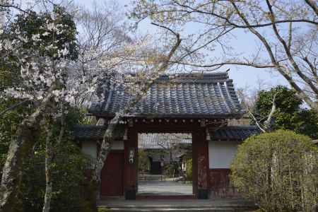 常照寺　吉野門