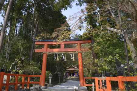 大田神社　勇壮なる鳥居