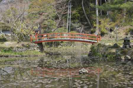 大原野神社　鯉沢の池