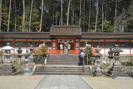 大原野神社　拝殿