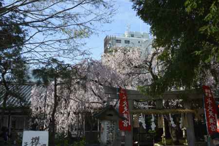 華やぐ境内　水火天満宮