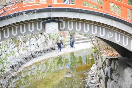 下鴨神社　御手洗池の輪橋１