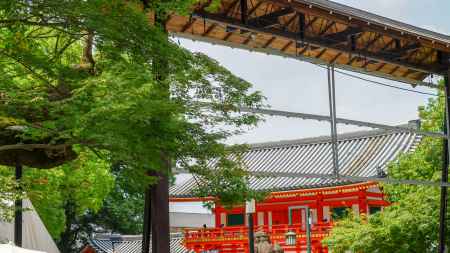 青もみじと神社の朱