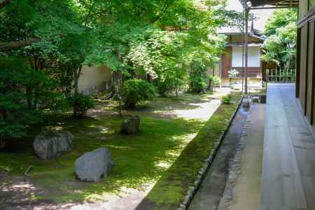 興臨院　静かな西庭園