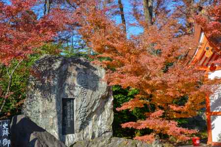 御土居の紅葉